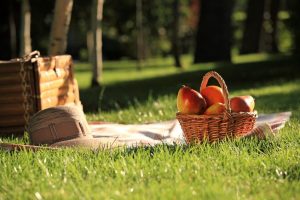9059462 - picnic basket with fruits on grass in summer park